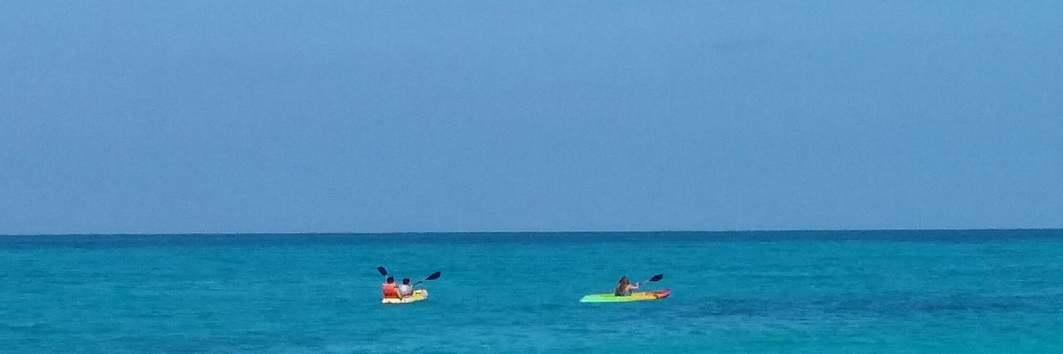 Jeanmarie Debees banner