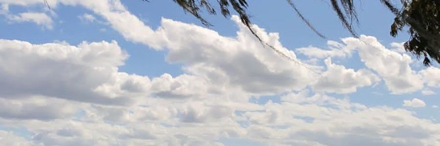 CriseliaP's profile banner image