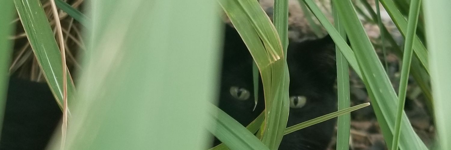 brett_7g's profile banner image