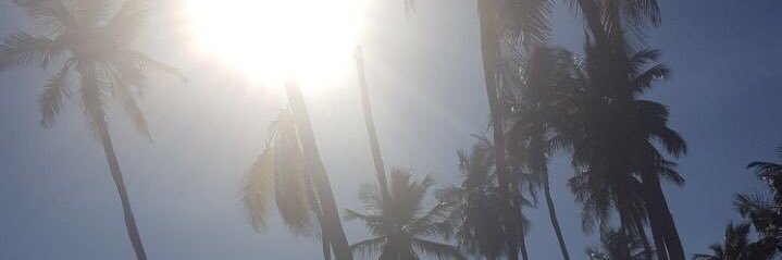 kdodgee's profile banner image