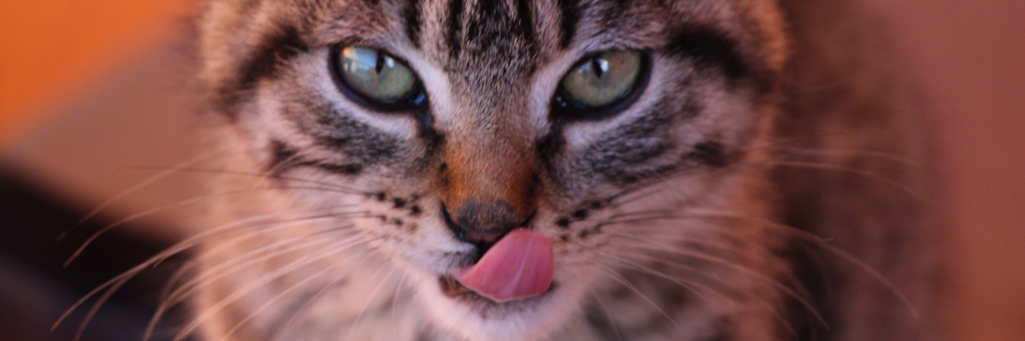 aguunda's profile banner image