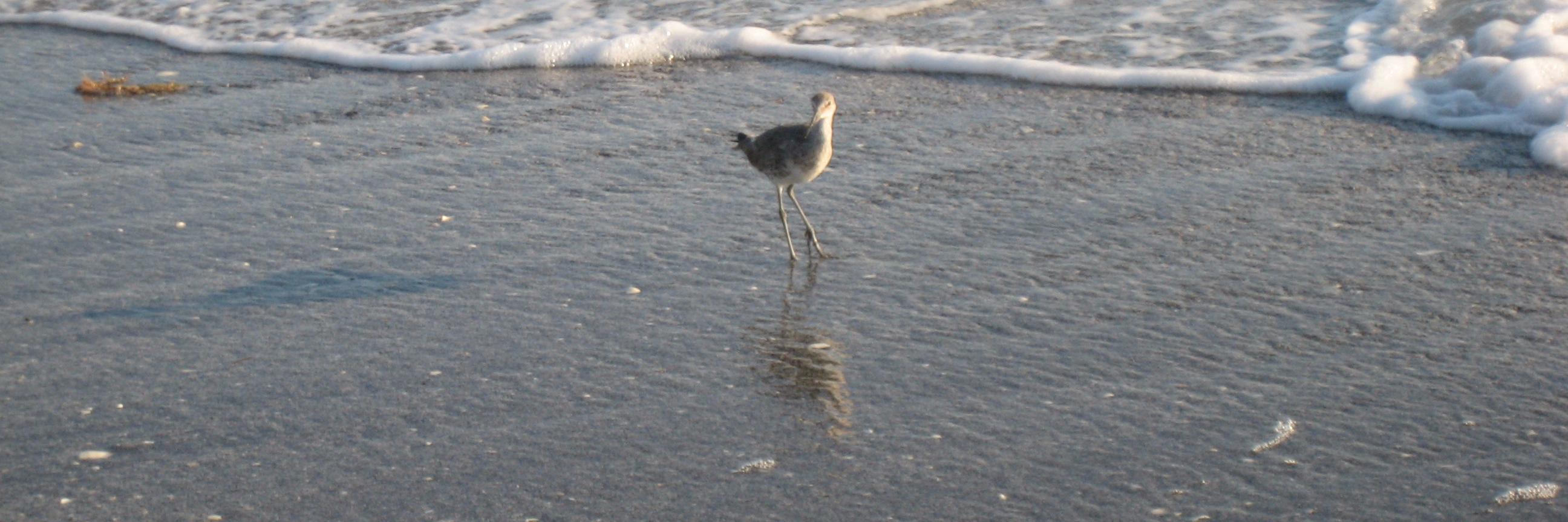 TFME_MAUREEN's profile banner image