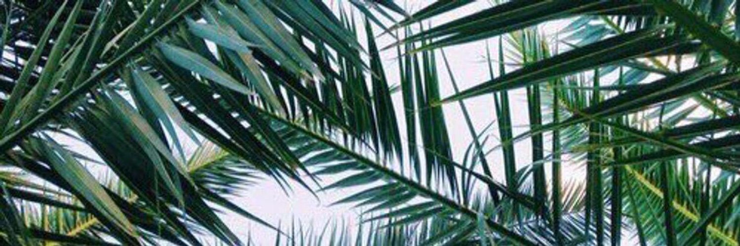 11Ksr's profile banner image