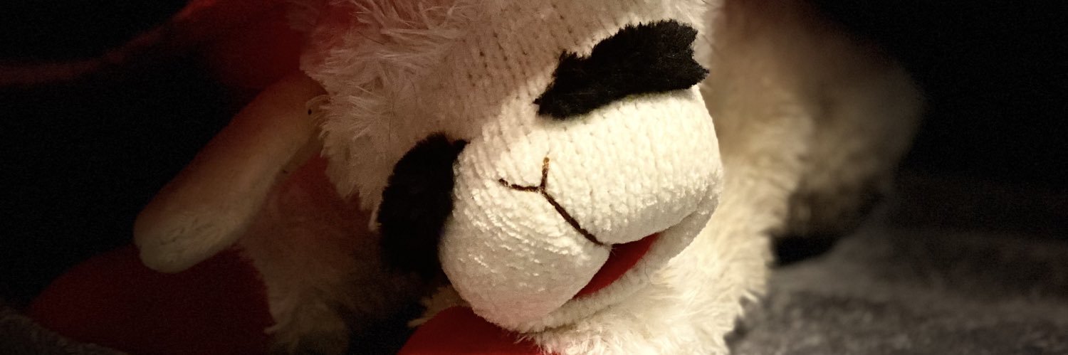 LittleLaceBoots's profile banner image