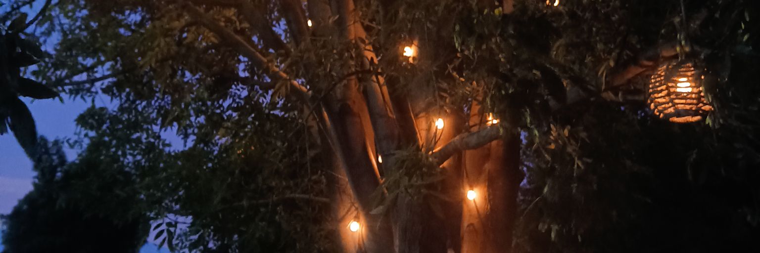 titadelarosa's profile banner image
