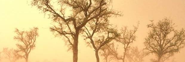 _shabd's profile banner image