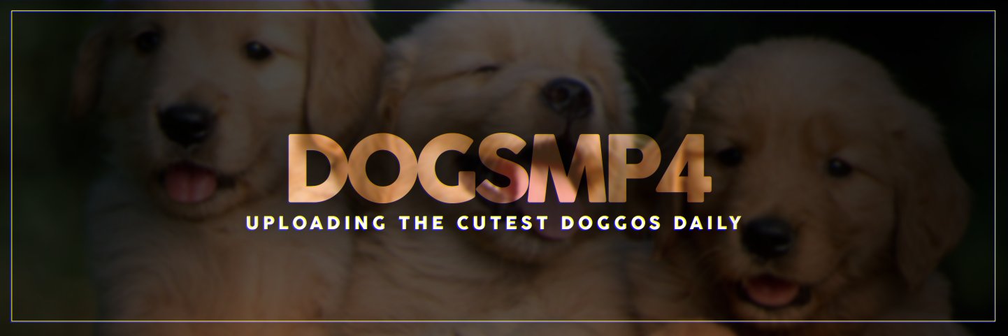 Dogs_MP4's profile banner image