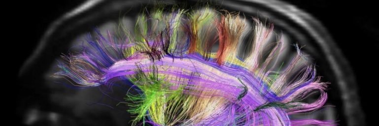 عبدالرحمن ناظر Abdulrahman R. Nazer banner