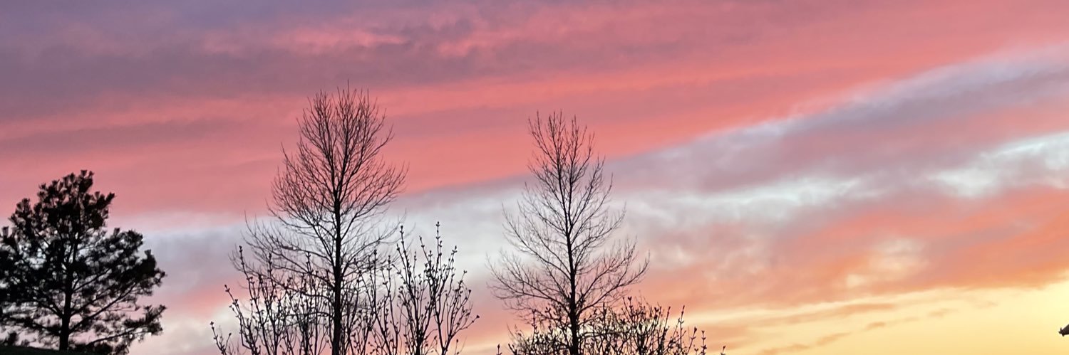 LifeAsLexus's profile banner image