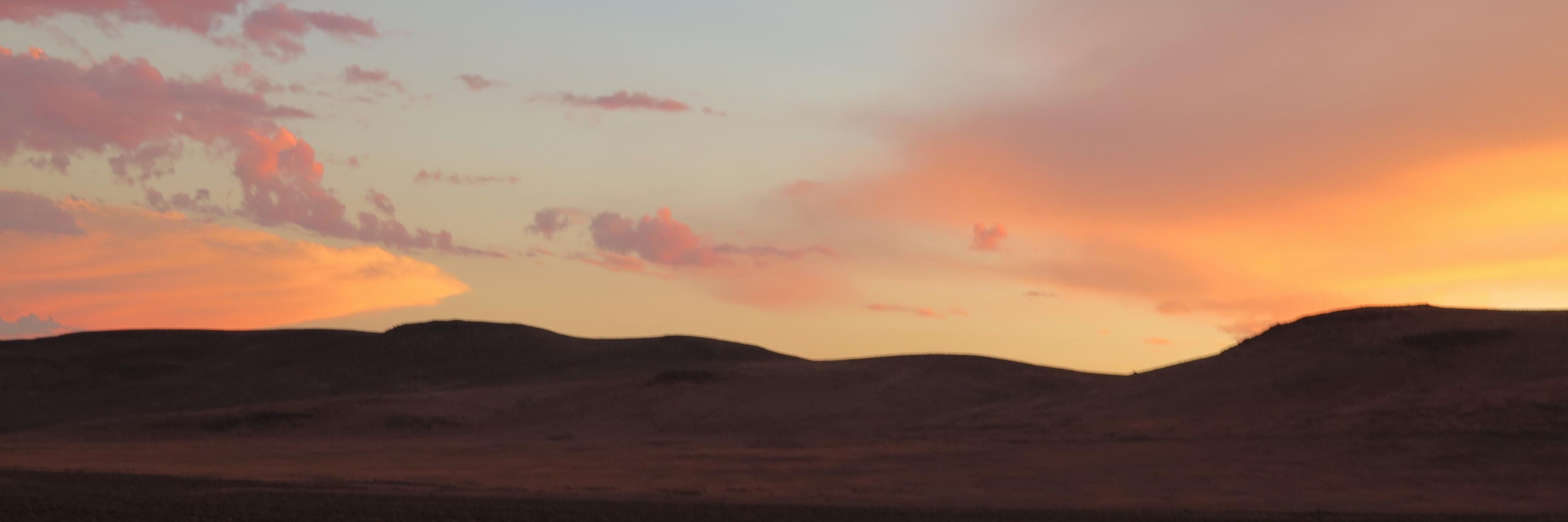 Steve Winters banner
