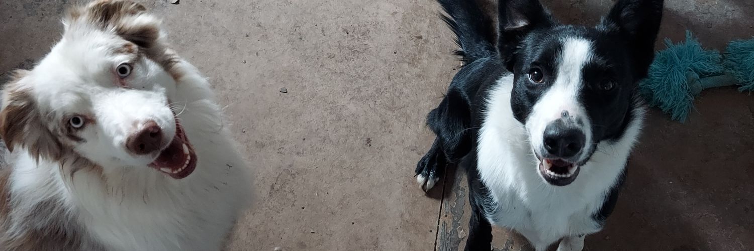 TylerKelly4's profile banner image