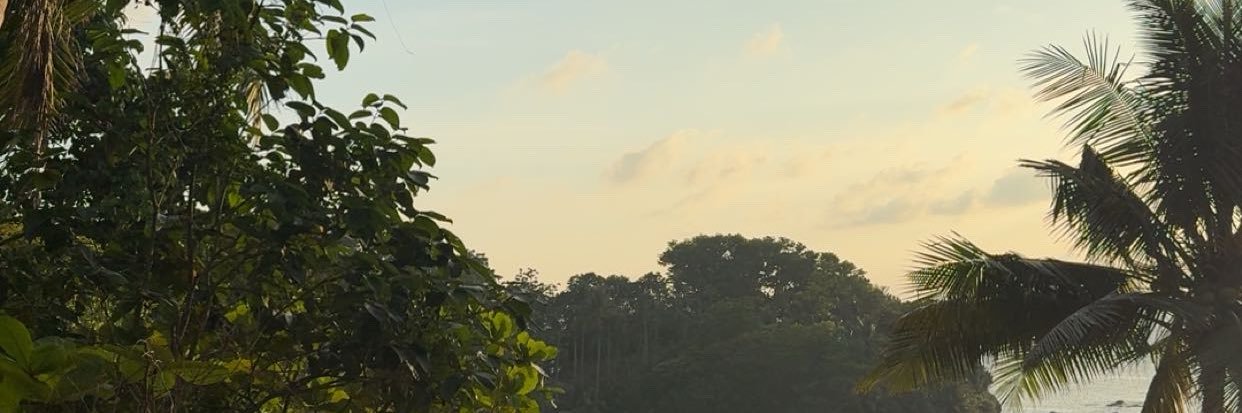 Vatoloco93170's profile banner image