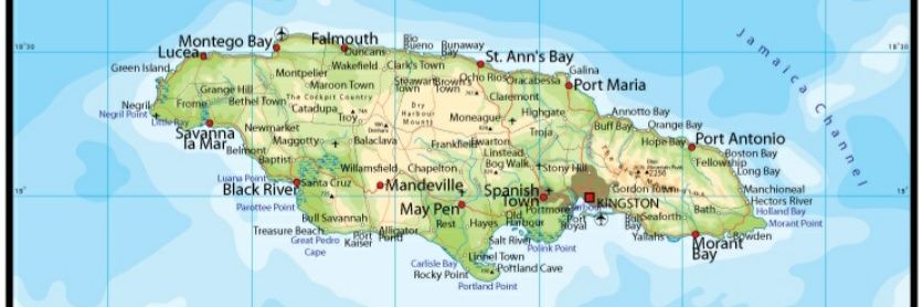 Marlene Malahoo Forte banner