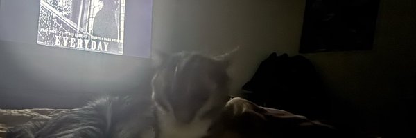 kojacblack Profile Banner