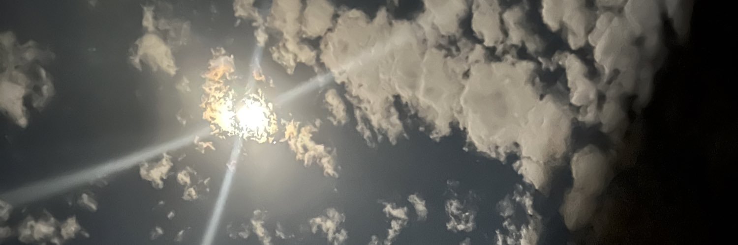 _TheOnlyAmb's profile banner image
