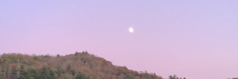 emilyrobertz's profile banner image