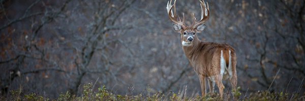 gabeMiller40 Profile Banner