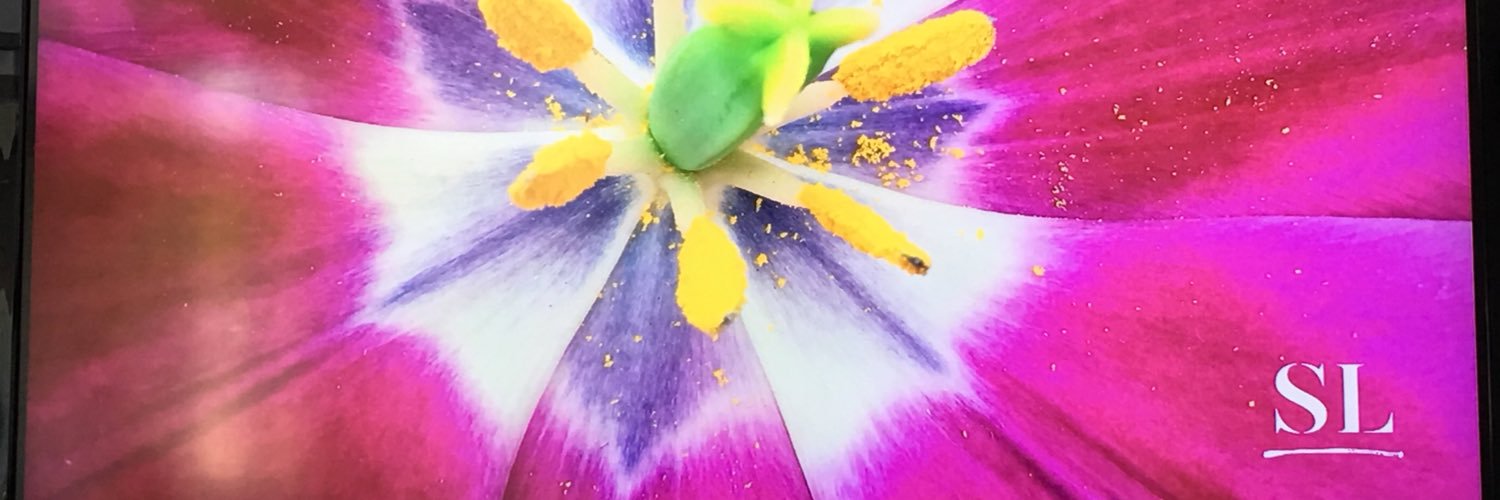 slgparrish's profile banner image