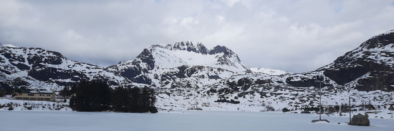 EsquerdaMarta's profile banner image