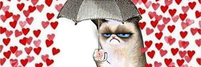 heidishiu's profile banner image