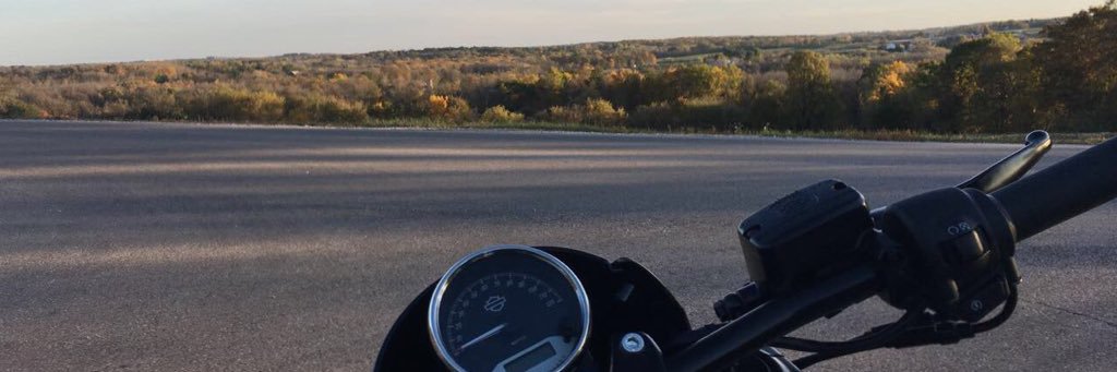 ShavedTabbyCat's profile banner image