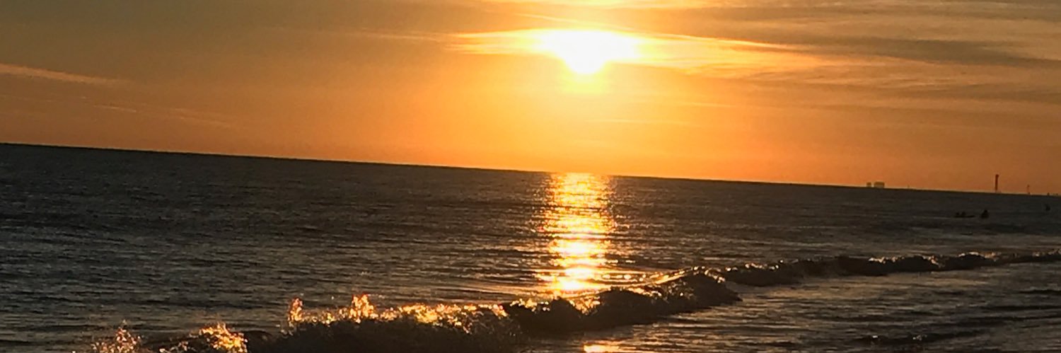RossHaynes's profile banner image