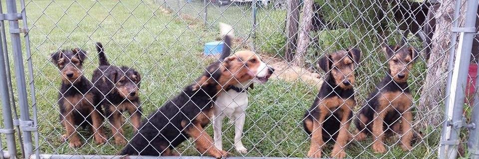 traci_watts's profile banner image