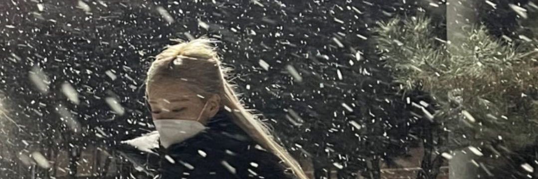 🌹 banner