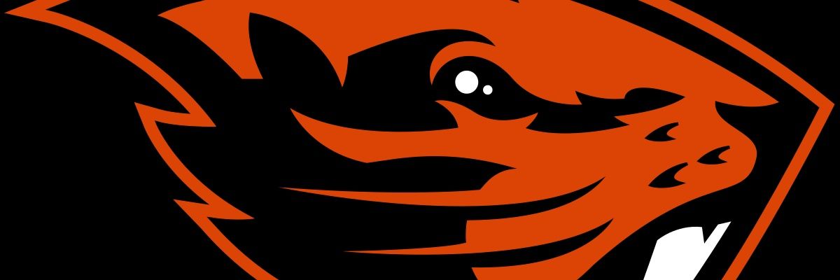 541MattyIce's profile banner image