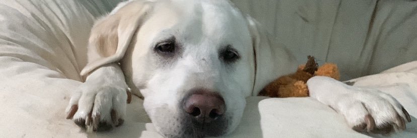 MattStreeter21's profile banner image