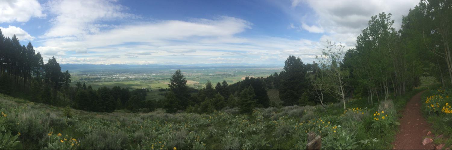 WhateverBryn's profile banner image