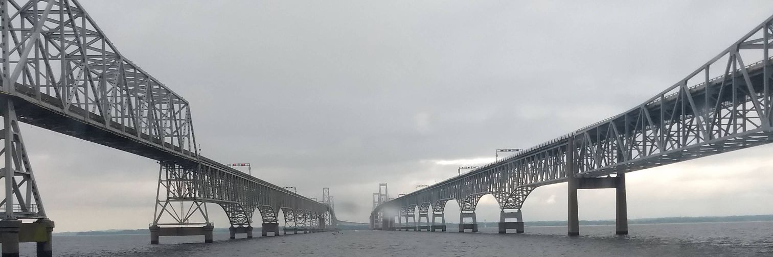 Mr Knowitall 5000 banner