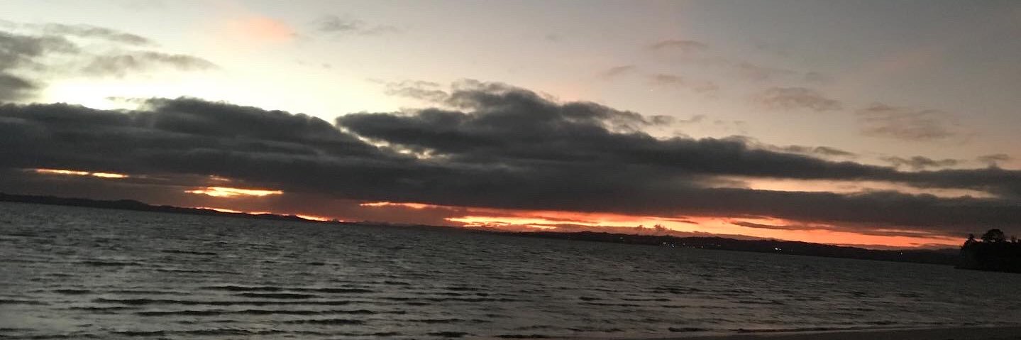 the_drells's profile banner image