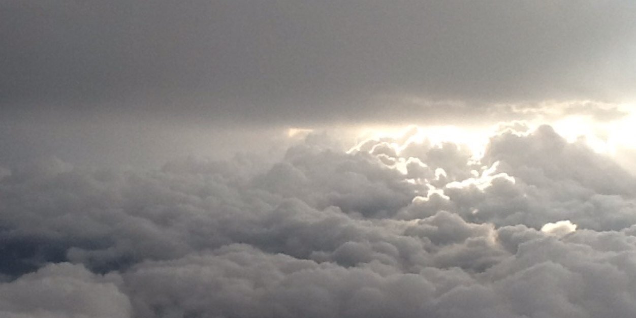 Meredith Rossner banner