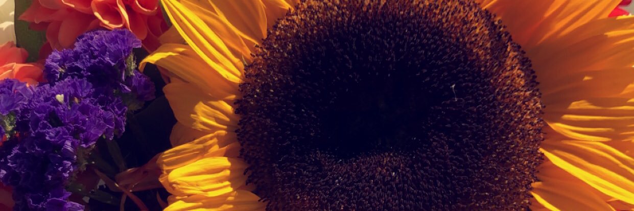 KatelynRaeLukes's profile banner image
