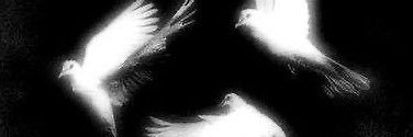 pmina's profile banner image