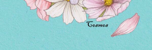 est_a_toi's profile banner image