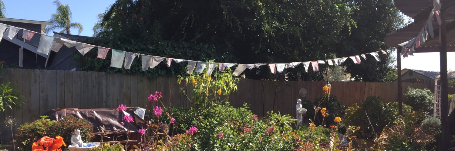 Jill E Bormann banner