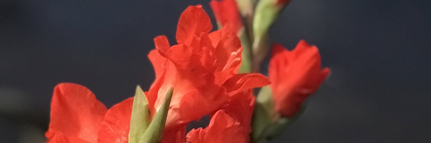 . banner