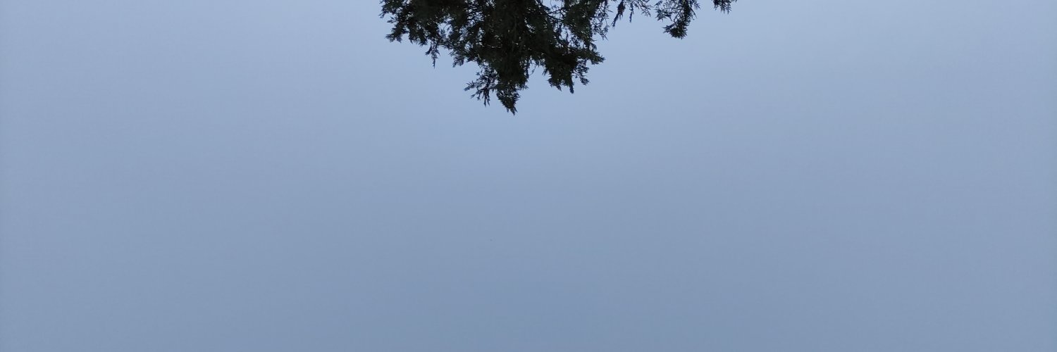 1Tagus's profile banner image