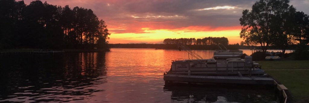 cydneytyler's profile banner image