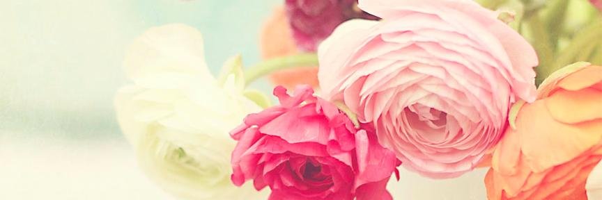 alyssaorlansky's profile banner image