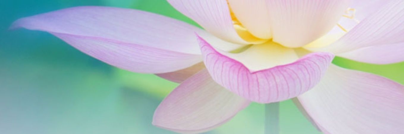 mika_non's profile banner image
