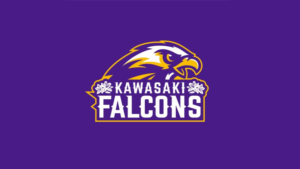 FALCONSLACROSSE's profile banner image