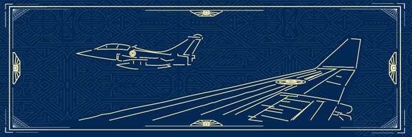 Armée de l'Air et de l'Espace Profile Banner