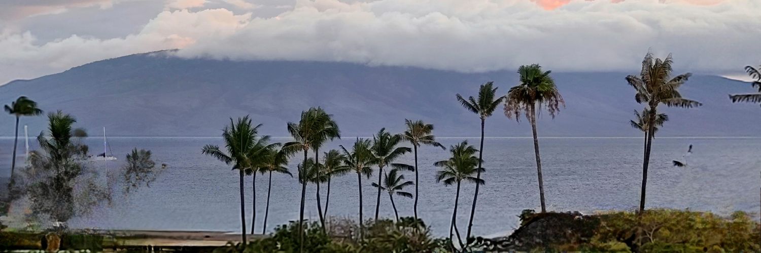 Jeffrey A. H. Poole banner