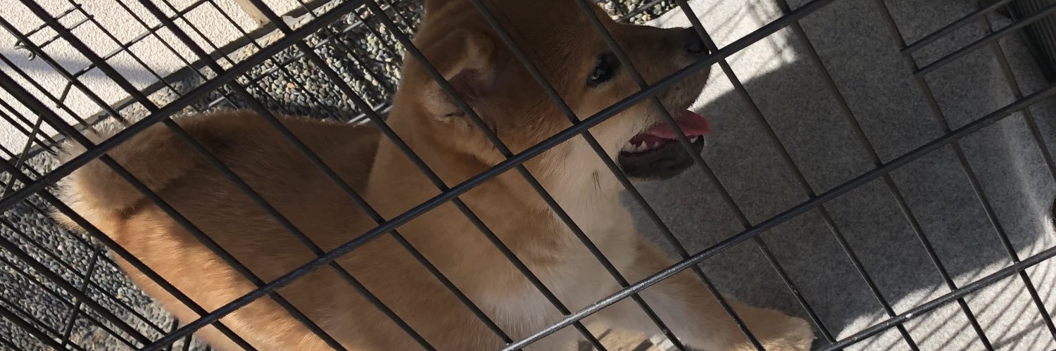 rj5me's profile banner image