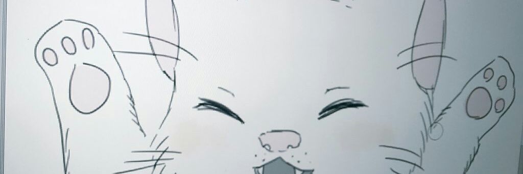 Fomsk0's profile banner image