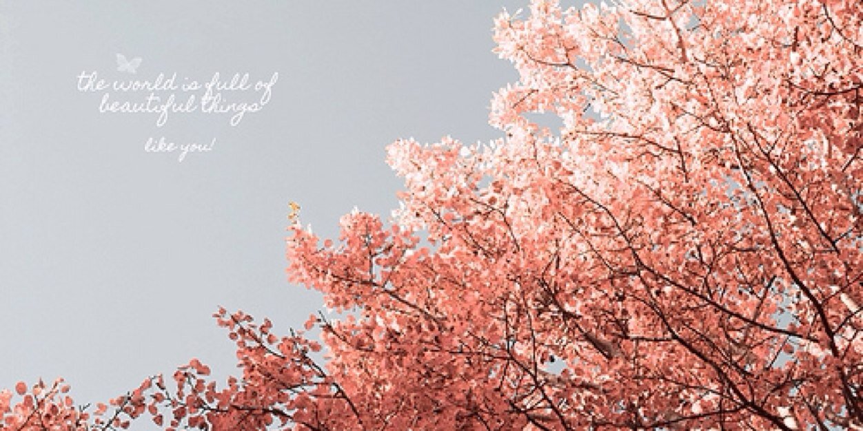 Nrljannahh_'s profile banner image