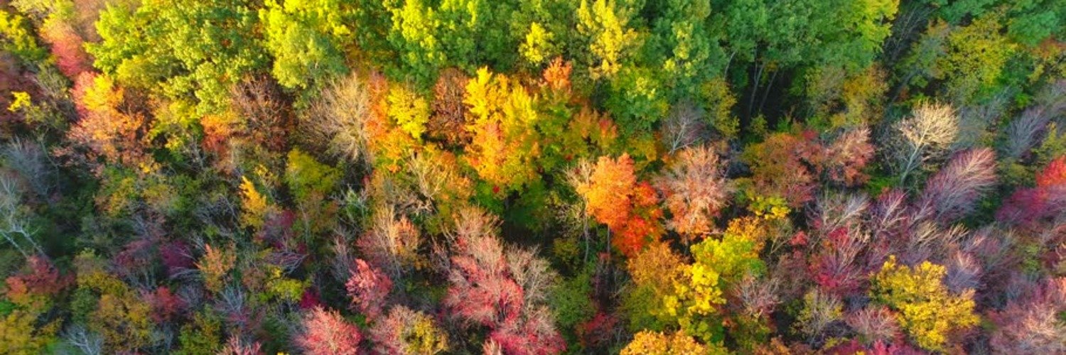 fallstreet5597's profile banner image